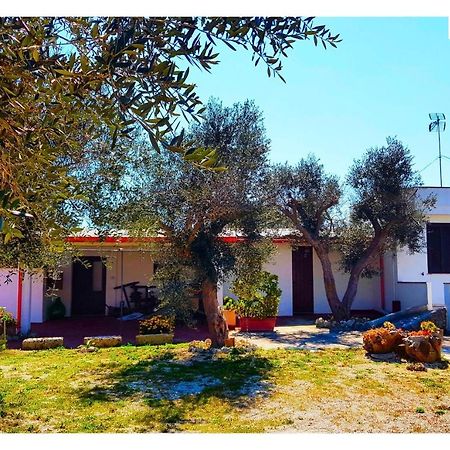 Li Catauri Bed and Breakfast Santa Cesarea Terme Exteriör bild